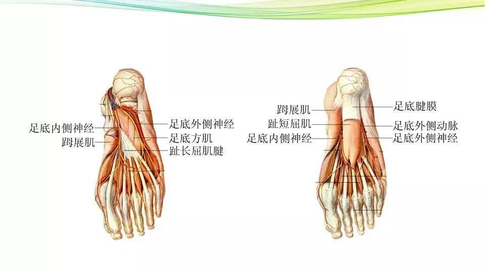 由于肌腱感染的情况往往面积较大,目前不少医院的治疗方案是后期给予